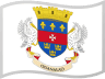 Saint Barthélemy flag