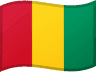 Guinea flag